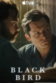 Чёрная птица (2022)